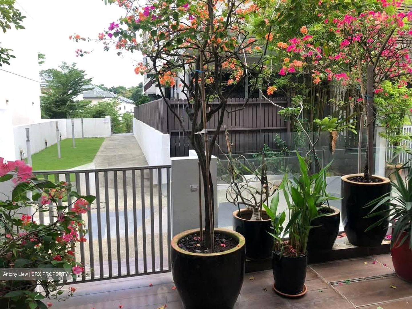 Jalan Lim Tai See (D10), Terrace #573022701